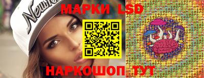 гидра Можга
