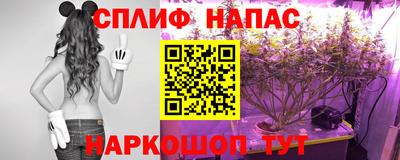 не бодяженный Моздок