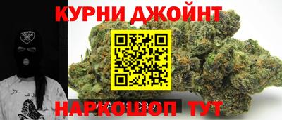 гидра Можга