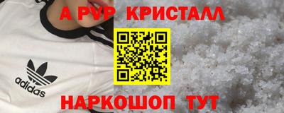 гидра Можга