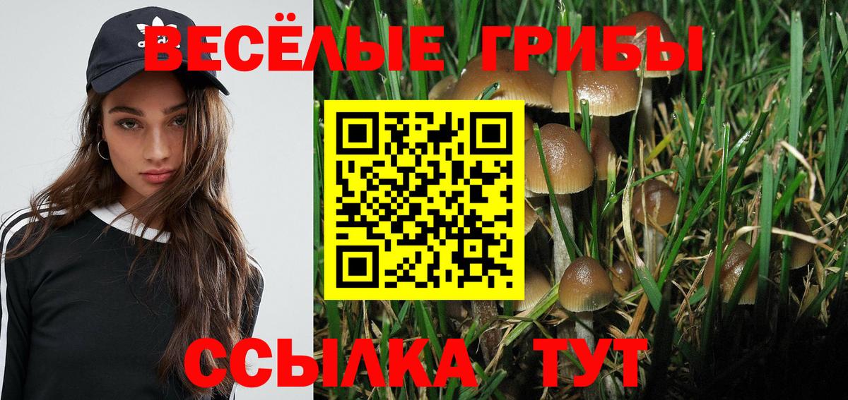 что такое   Вход с VPN  Советский  Псилоцибиновые грибы мухоморы 