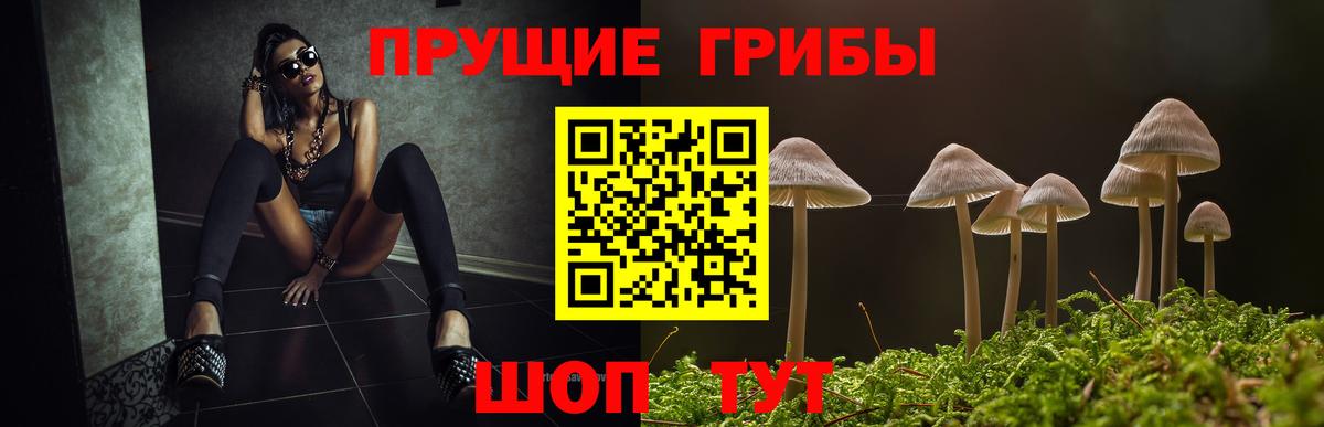 A PVP Советский